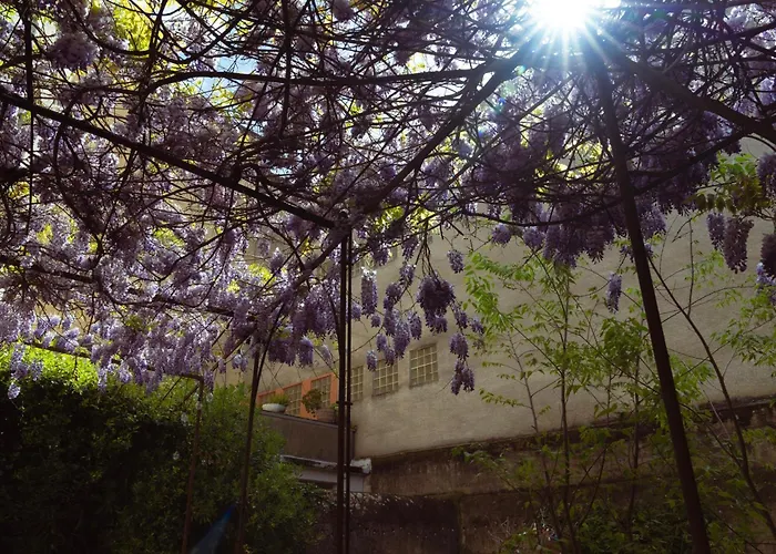 Bastide * Каркассон